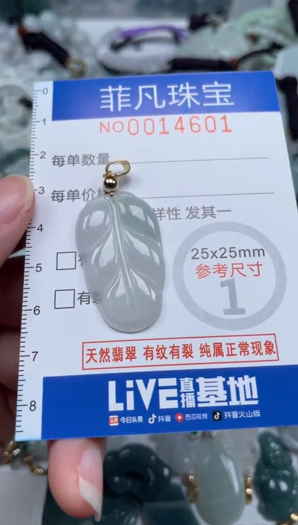 颈饰未镶嵌翡翠14601
