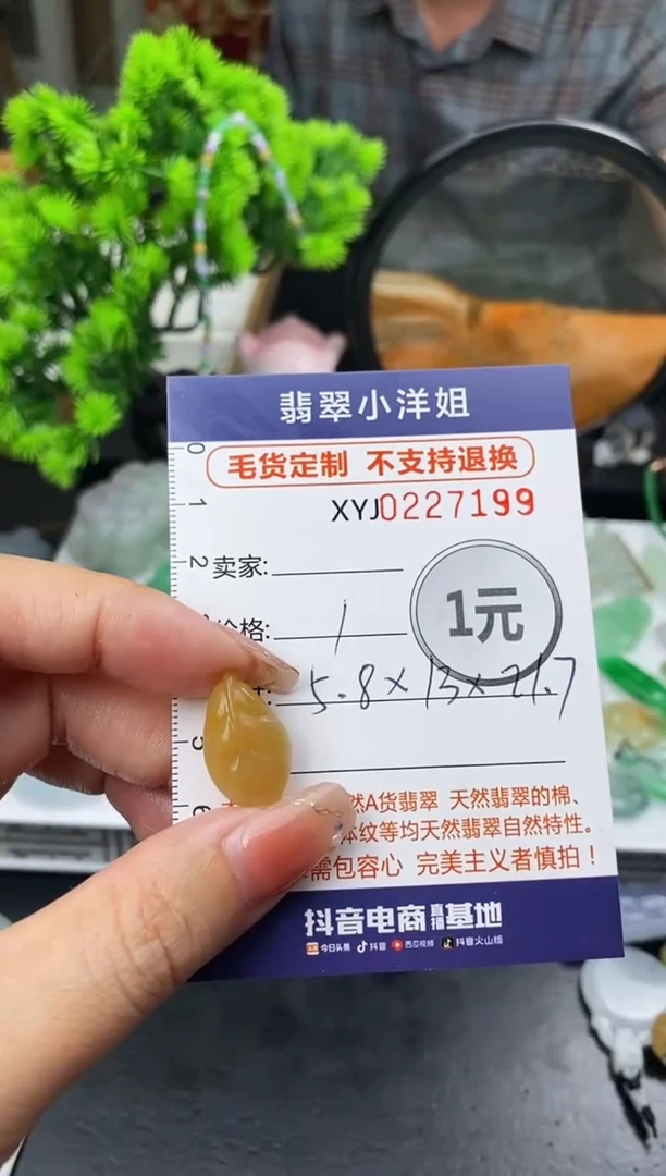 定制翡翠未镶嵌毛货商品不退换/ 7199