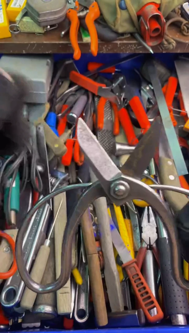 骑***界可乐日本工具仓库闪购链接