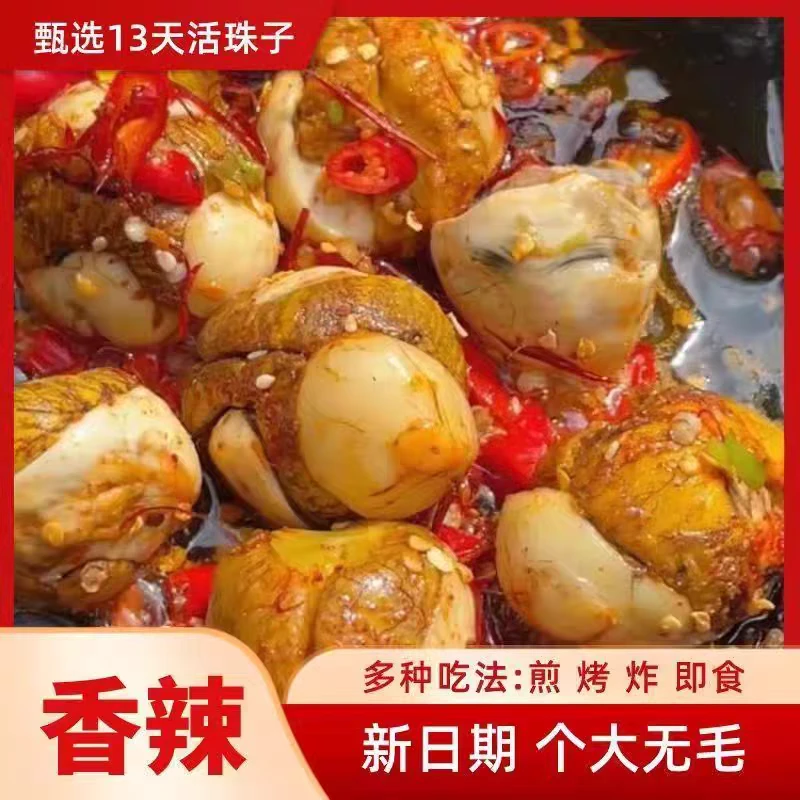 独立包装开袋即食五香香辣味土鸡蛋活珠子13天新鲜原味钢化蛋喜蛋