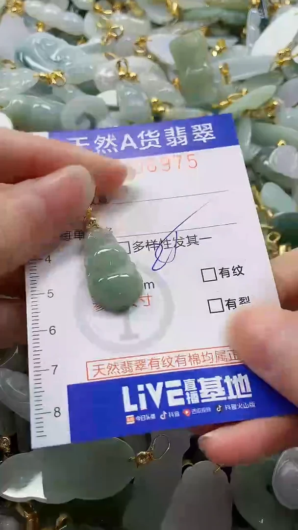 颈饰未镶嵌翡翠纯天然a货翡翠