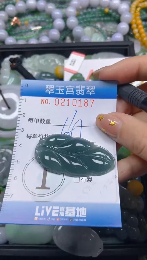 颈饰未镶嵌翡翠闪购C0210187