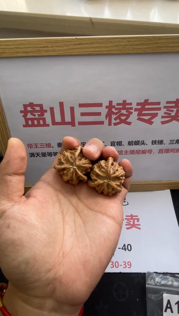 A155盘山三棱正奔3.9尺寸3.6高全品白茬文玩核桃手把件