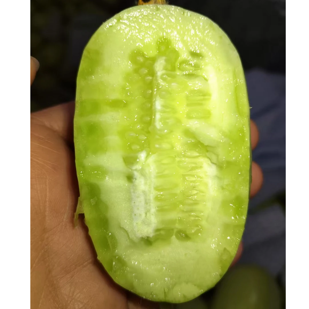 新蔓玉女黄瓜拇指黄瓜脆嫩爽口