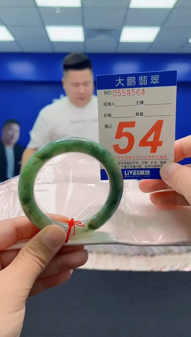 未镶嵌手镯翡翠AAAAAAAAA