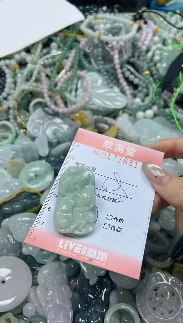 颈饰未镶嵌翡翠闪购0173881