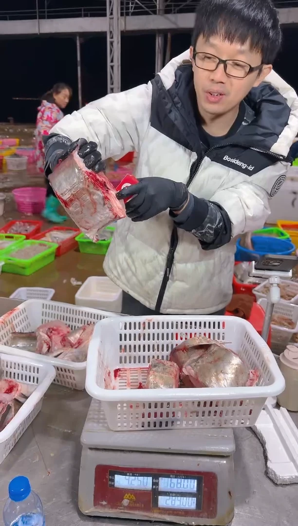 中国大陆?***?鳗鱼111111111111