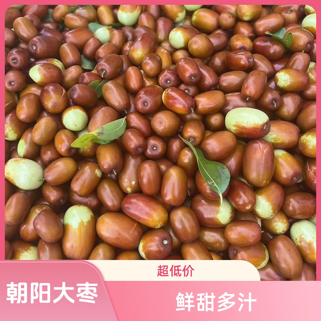 省内专拍 大枣嘎巴脆现摘鲜甜多汁皮薄肉厚核小顺丰包邮配送