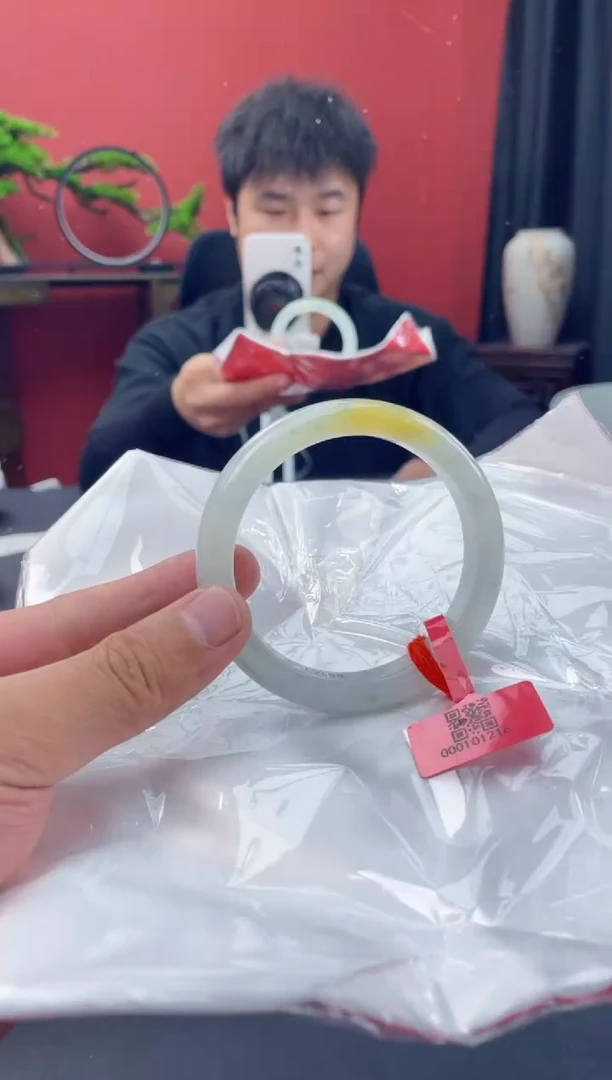 未镶嵌手镯翡翠7