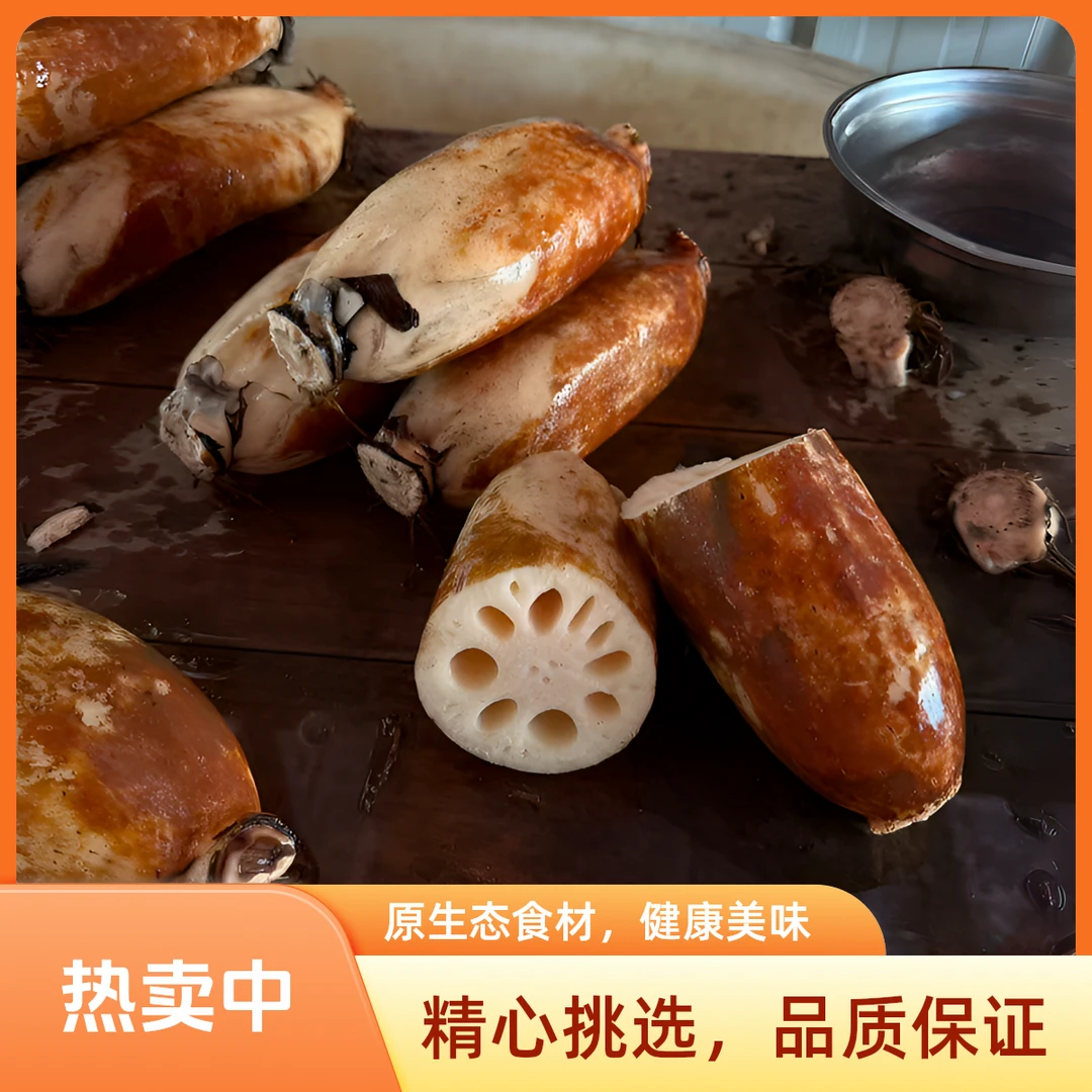 新鲜上市正宗湖北粉藕新鲜现挖煲汤口感浓郁的莲藕面藕带泥带藕节