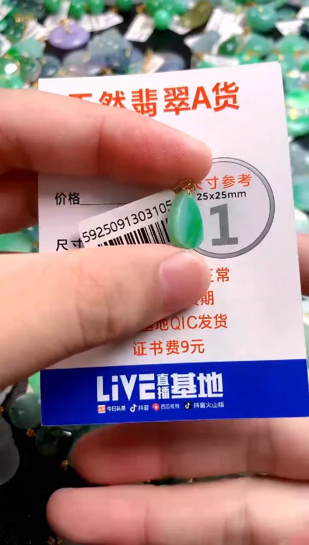 颈饰18K金镶嵌翡翠0197955790