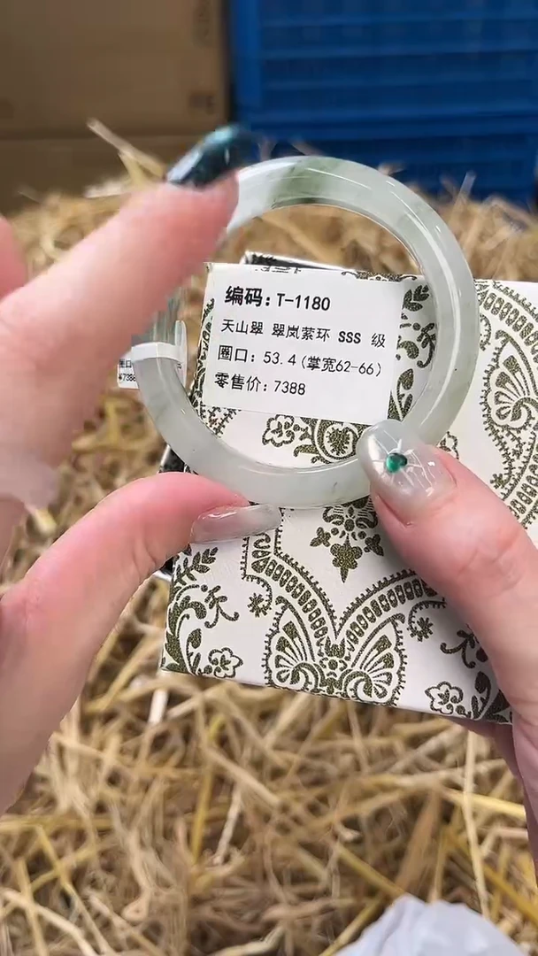 未镶嵌手镯石英质玉T-1180