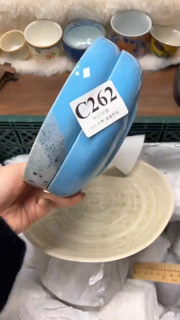 【闪购商品】瓷片          C262