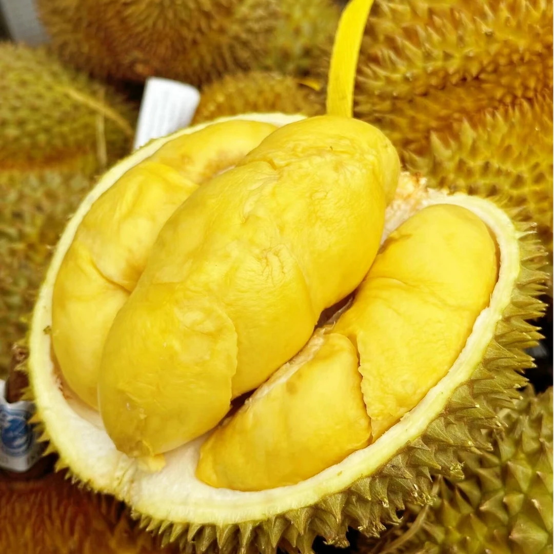 【干包-暴力黄】糊舌头口感的那种金枕泰国树熟鲜榴莲薄皮核小肉多 斤 天津同城送榴莲同城配金枕泰国