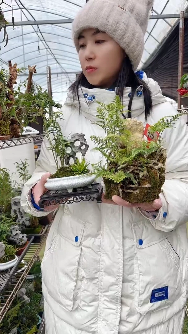 【闪购商品】715