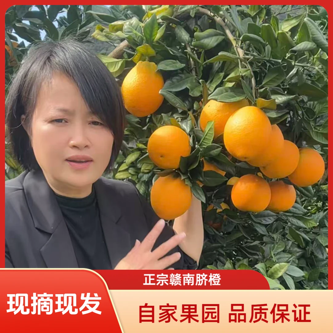 正宗赣南脐橙新鲜现摘多汁香甜应季水果江西赣州原产地直发
