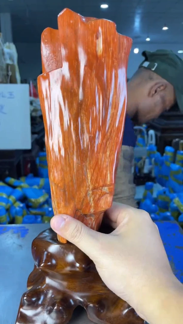 未镶嵌摆件硅化玉36