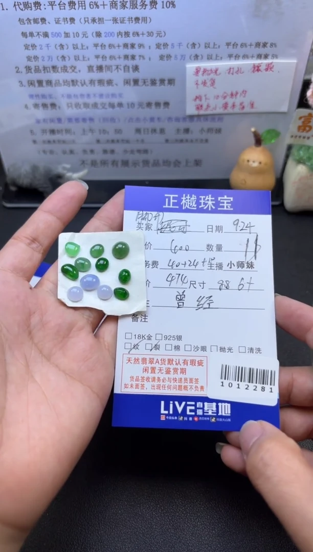 配石翡翠?ZYZB-1012281