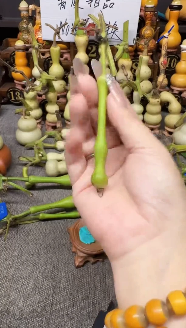 芝***忙高端葫芦高端客户