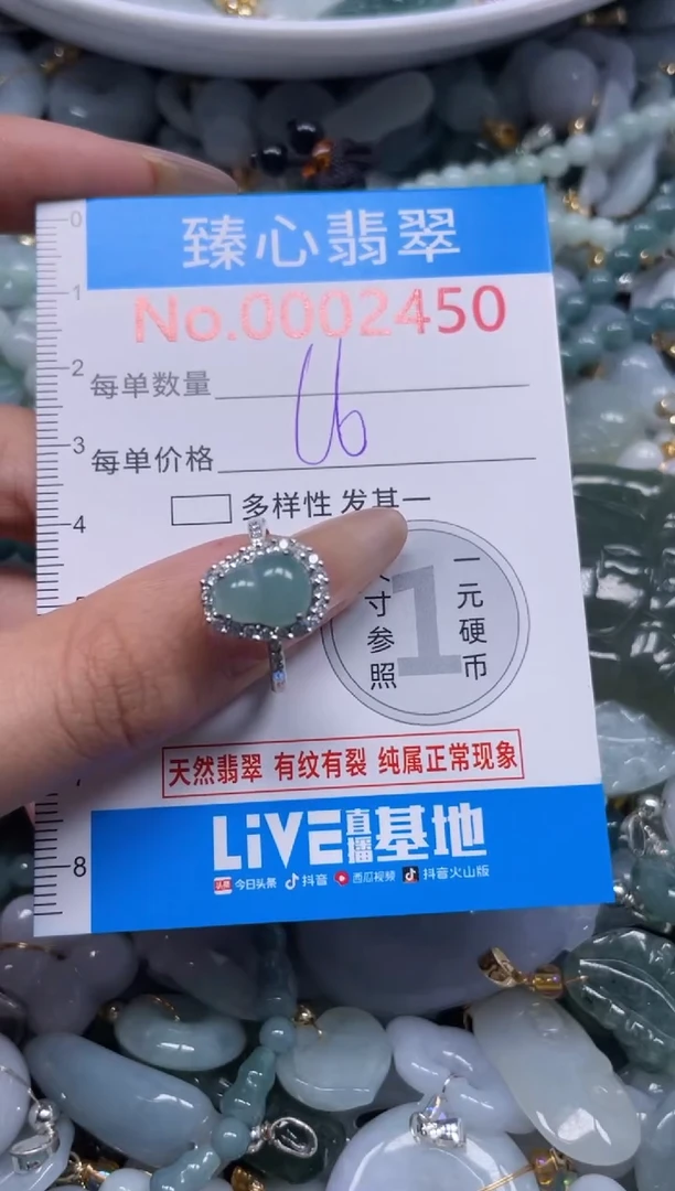 颈饰未镶嵌翡翠2450