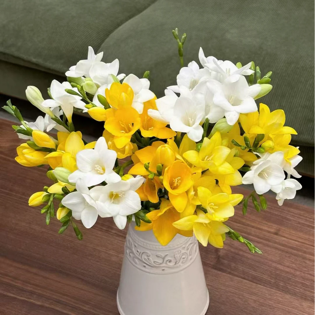 香雪兰混搭（直播间展示为准/10％损耗无售后介意勿拍）