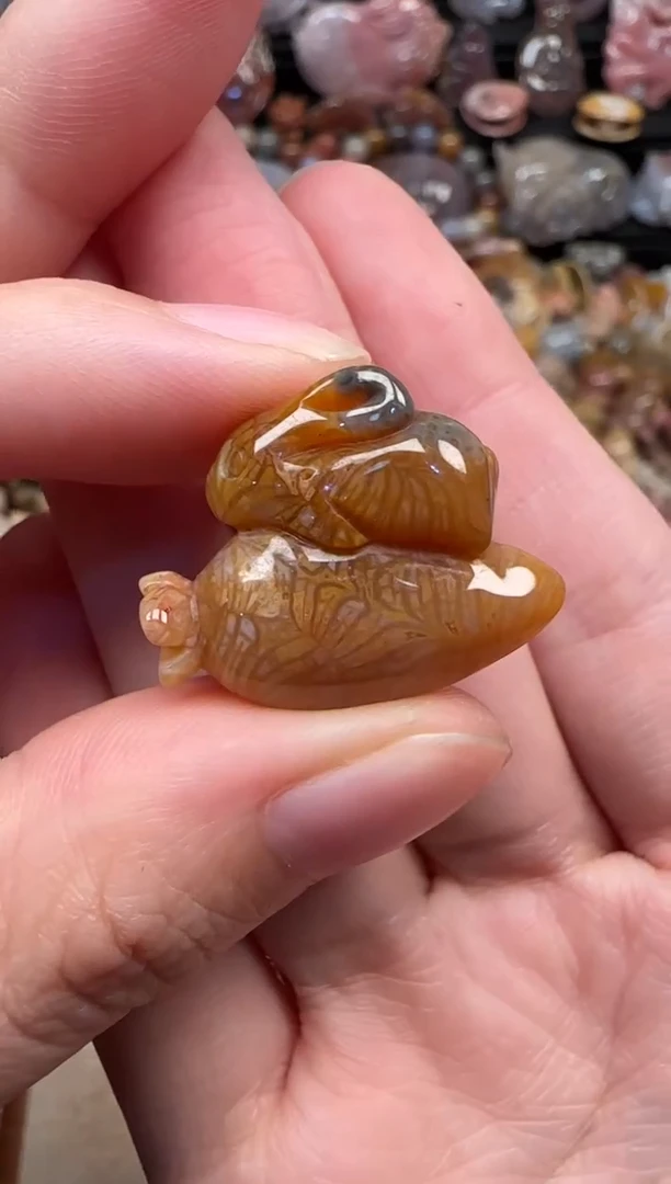 颈饰未镶嵌硅化珊瑚（珊瑚玉）721