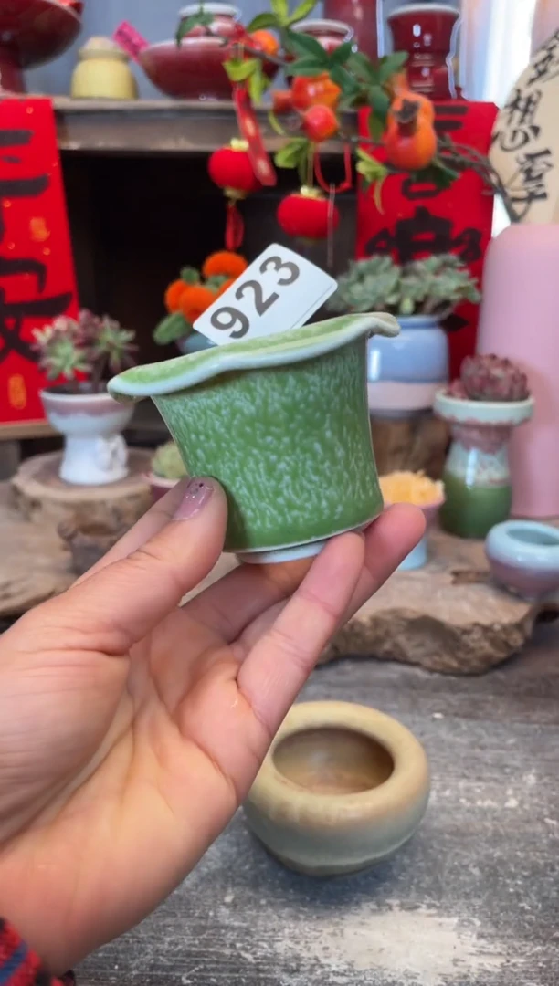 【闪购商品】摆件923知木小芳花盆