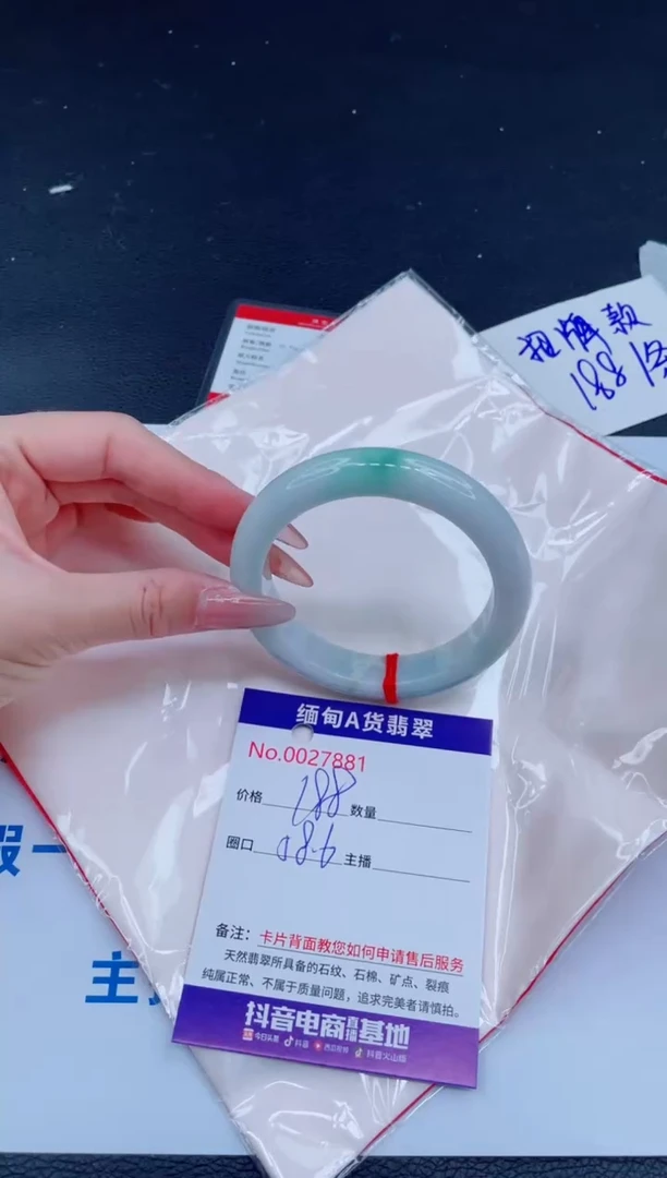 未镶嵌手镯翡翠0