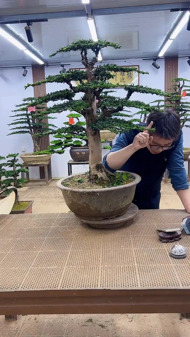 无花朵000000000000000000