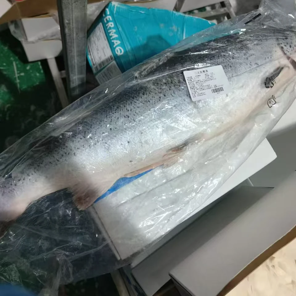 {布朗尼推荐}智利进口三文鱼（进出口公司货）整条非国产整条很安心