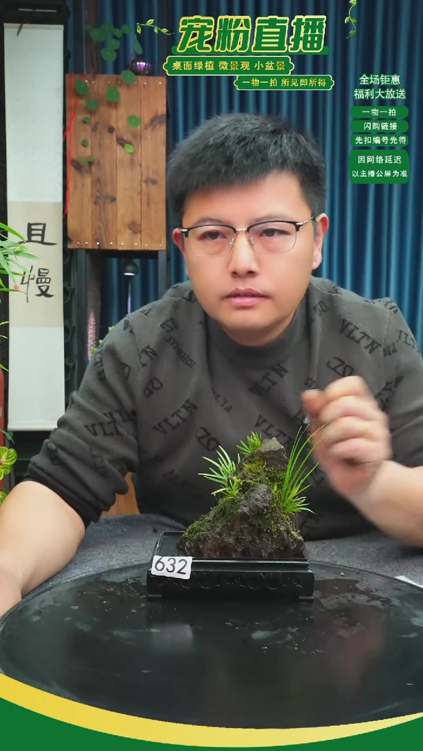 无花朵金*苔藓微景观632号