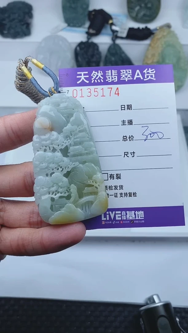【闪购商品】翡翠颈饰未镶嵌       174