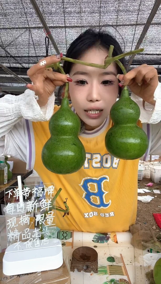 329天然葫芦摆件 一物一拍龙头不保售后