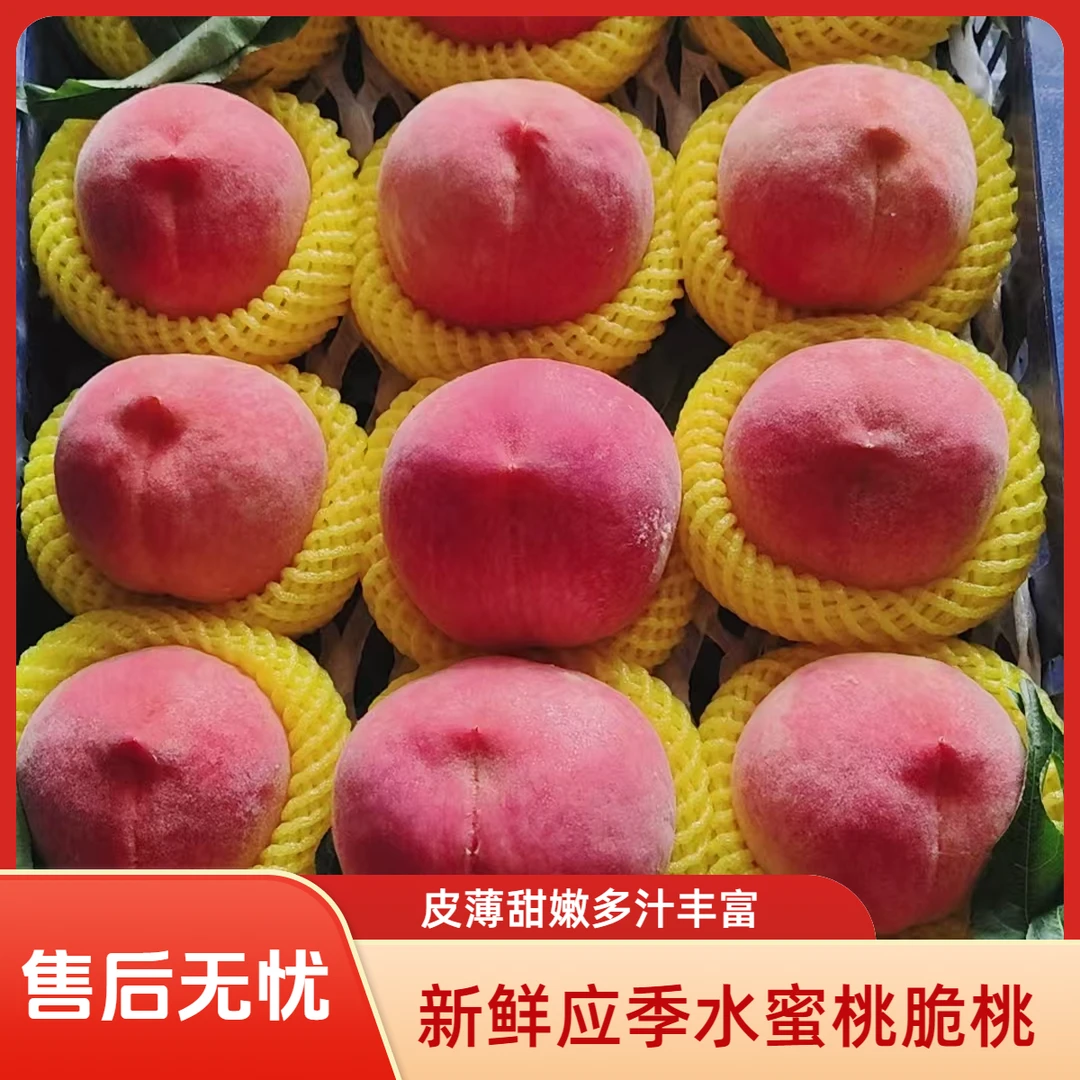 新鲜应季脆桃水蜜桃皮薄甜嫩多汁现摘水果
