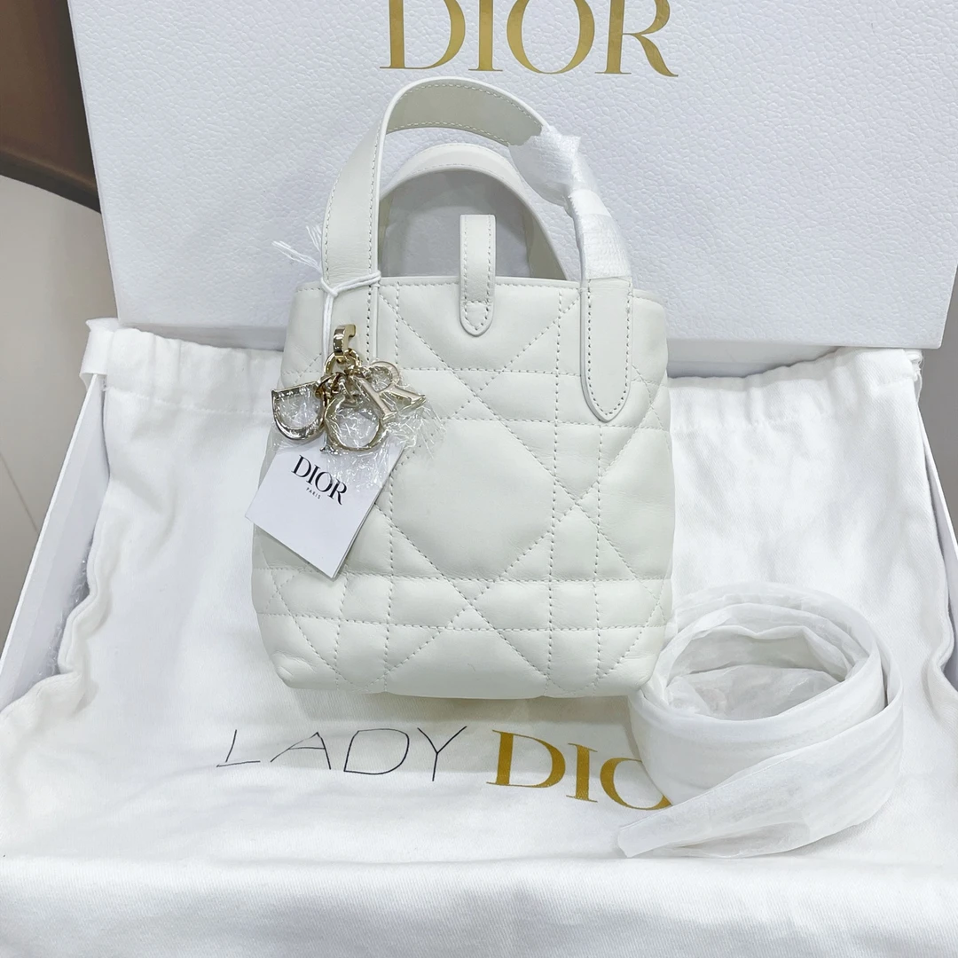 未使用 DIOR/迪奥 Toujours nano迷你土著包 奶白色