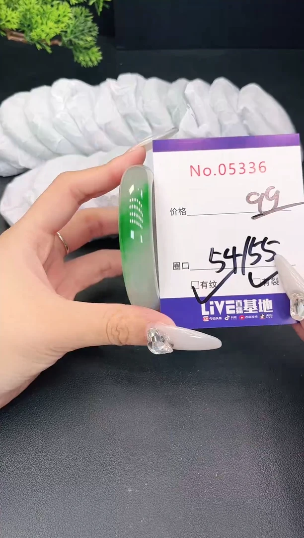 未镶嵌手镯翡翠5336