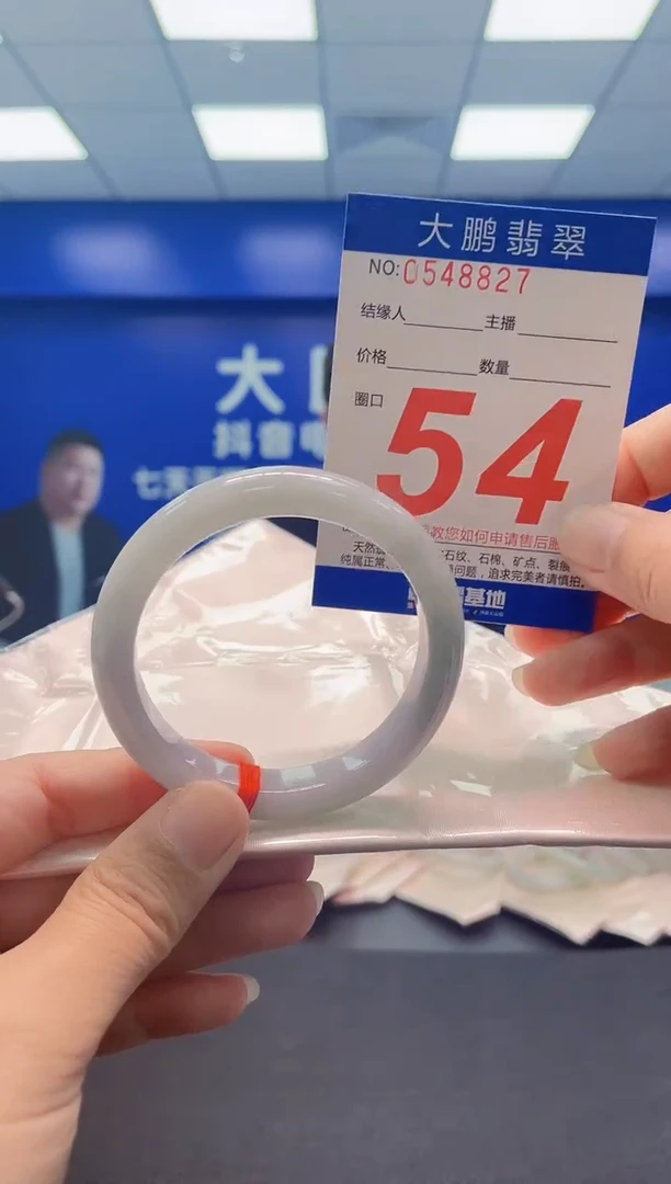 未镶嵌手镯翡翠AAAAAAAAA