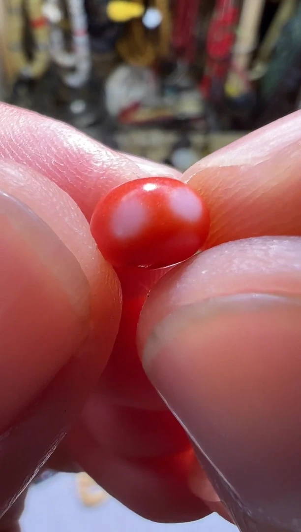 卡保真藏传小元素