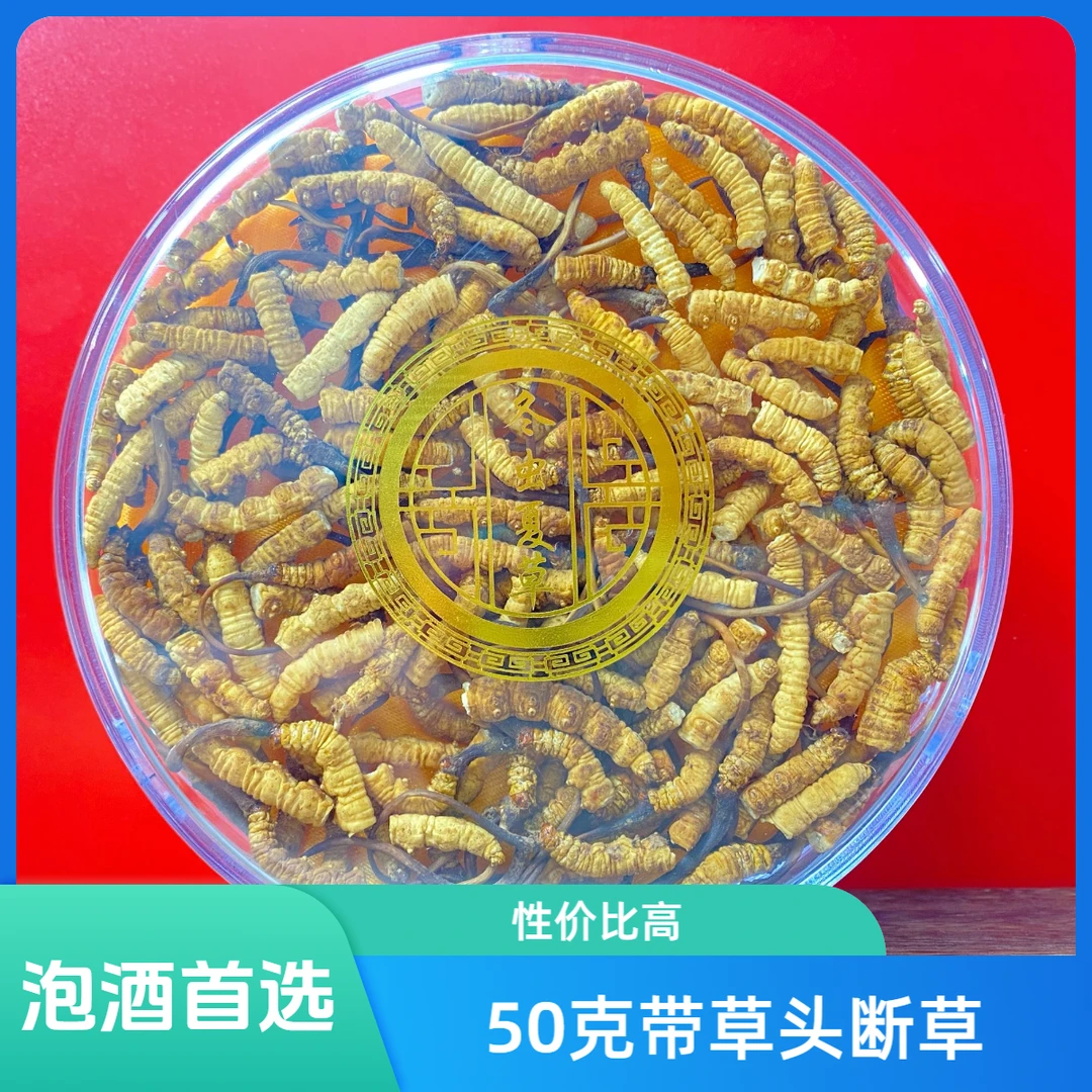 【拉姆专属】50克一级断草  2025干冬虫夏草滋补食用 送礼