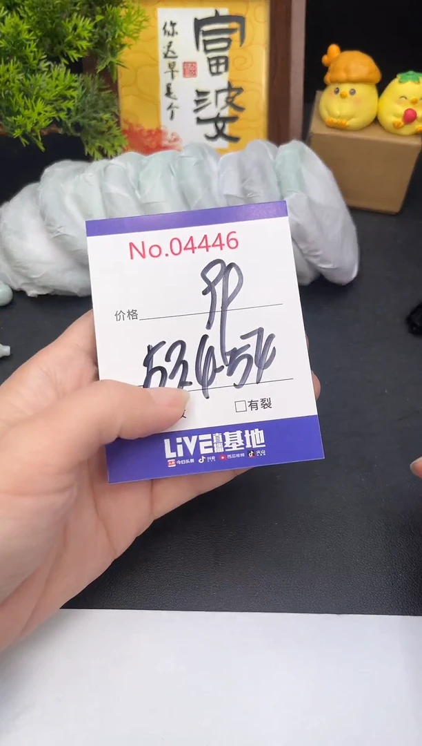 未镶嵌手镯翡翠4446