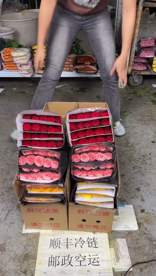 黄玫瑰20枝+戴安娜20枝+高原红20枝