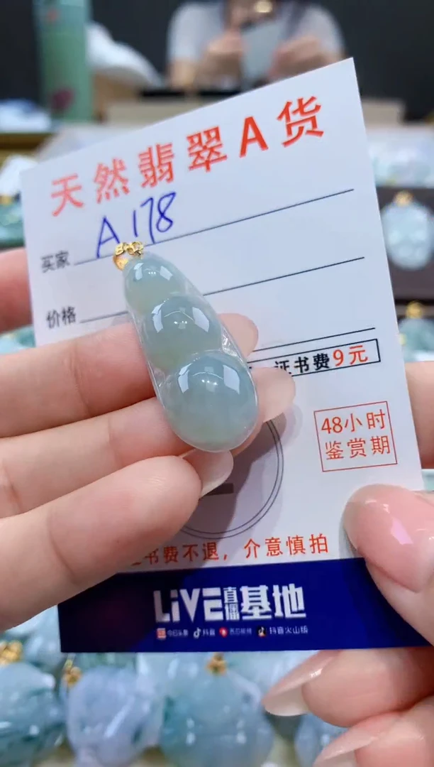颈饰未镶嵌翡翠天然翡翠A货挂件