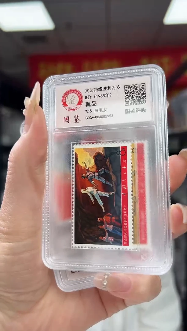 文5 文艺 路线胜利 GSCA评级 真品 小盒装