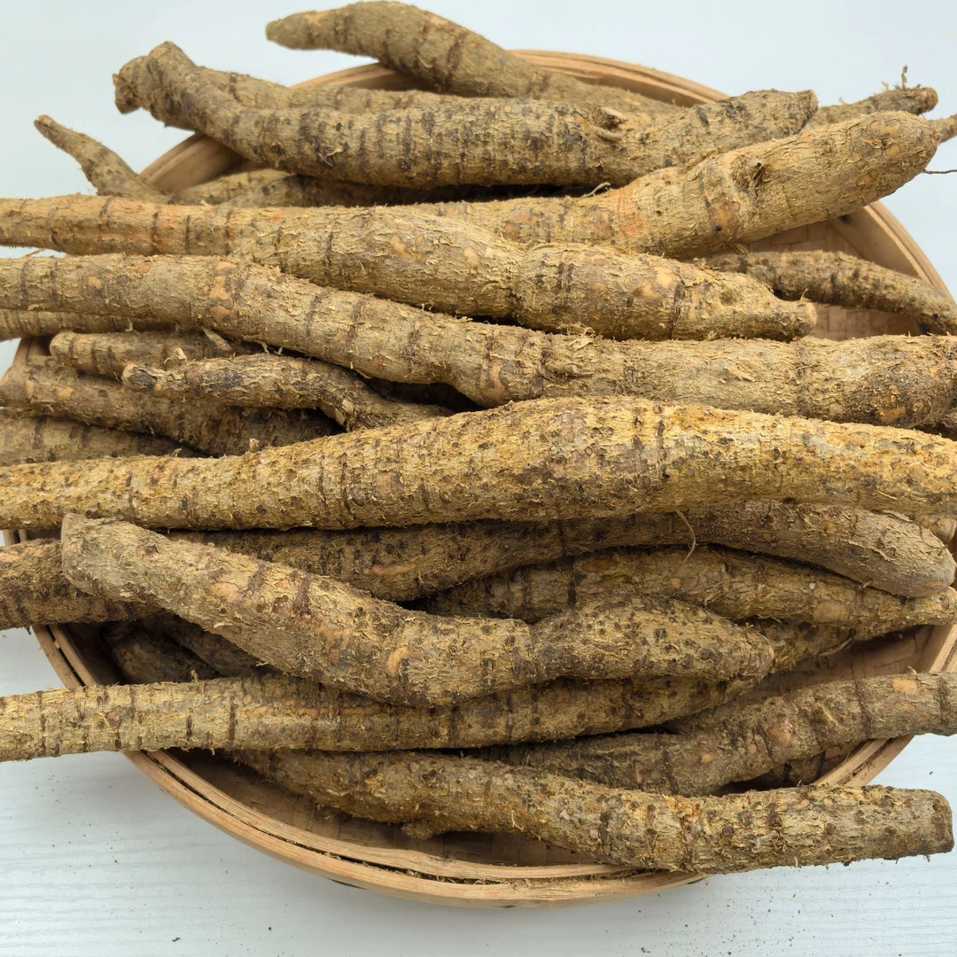 深山野生现挖现卖新鲜牛大力十年大叶粉质土特产煲汤煮水泡酒滋补