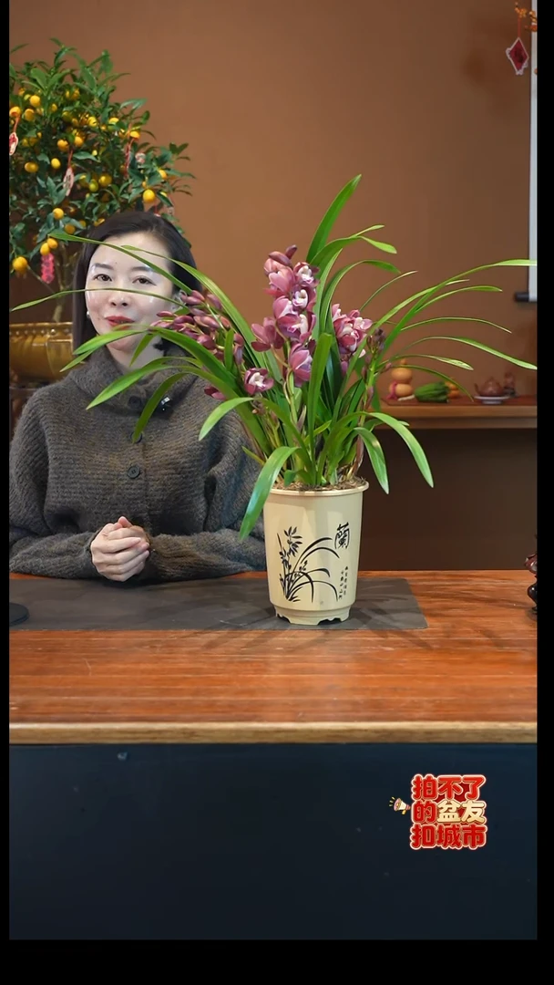 全部花朵红宝石杏色