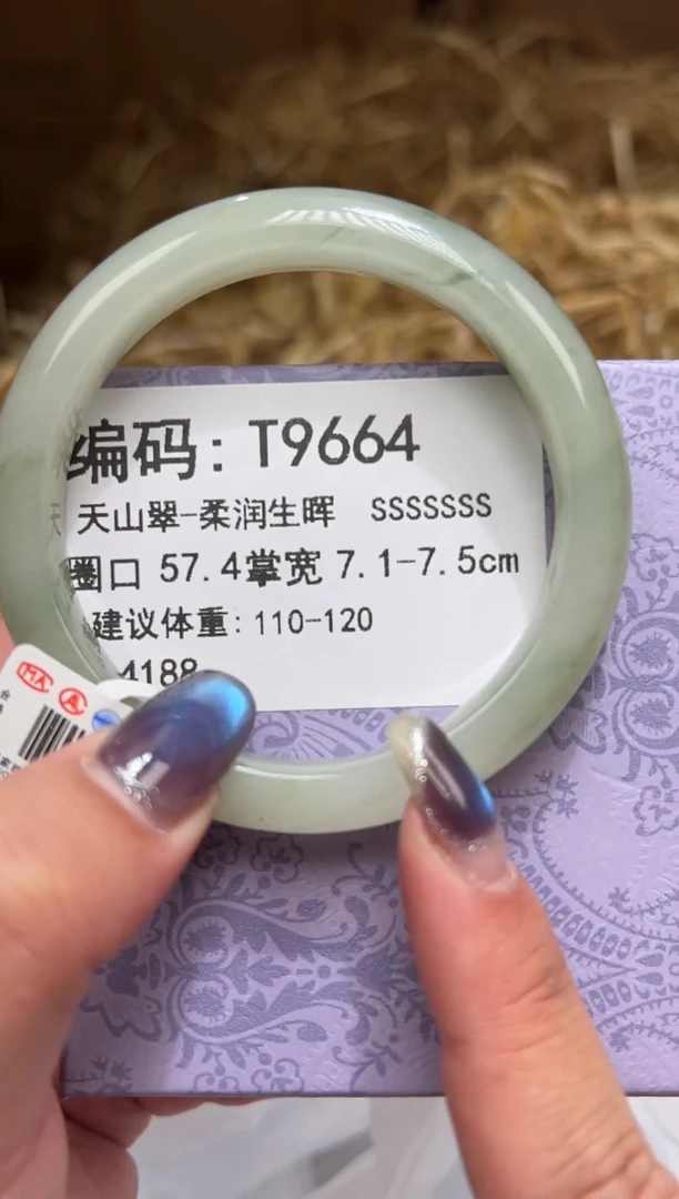 未镶嵌手镯石英质玉T9664