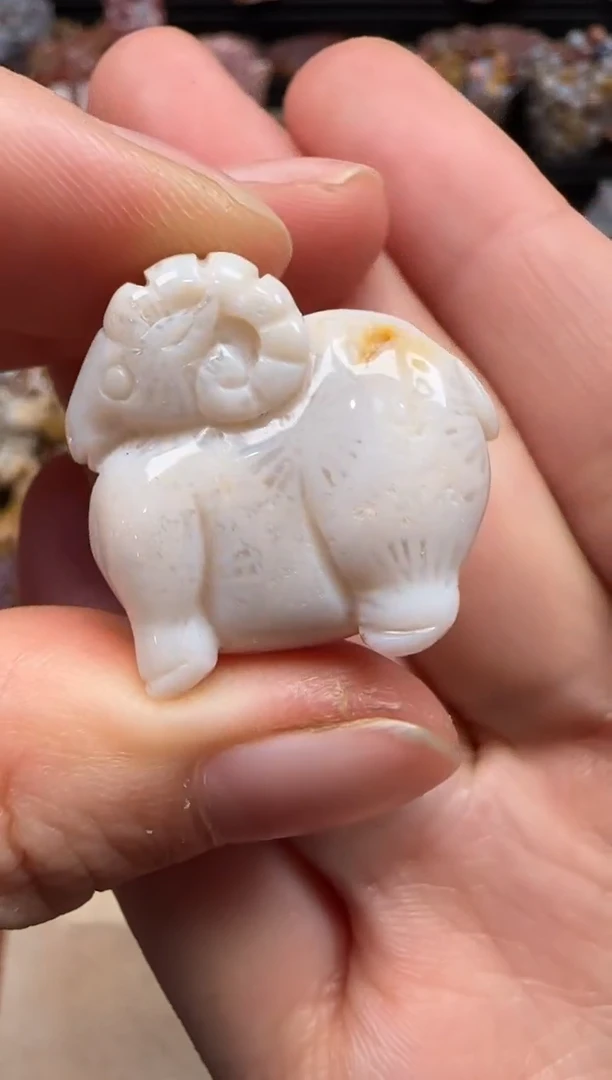 【闪购商品】硅化珊瑚（珊瑚玉）颈饰未镶嵌703