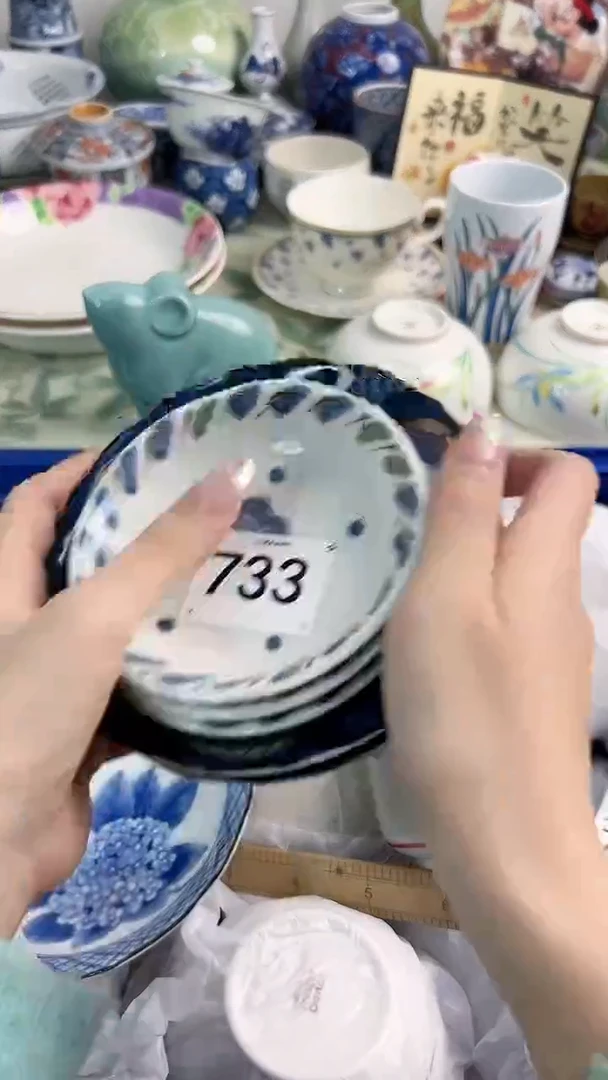 【闪购商品】瓷片733............