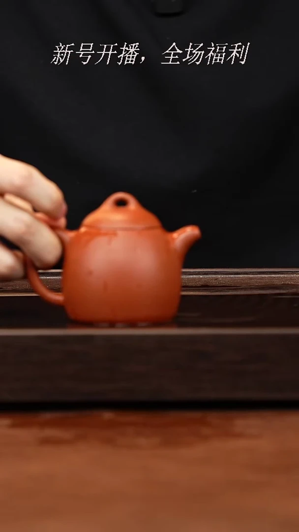 茶壶紫砂21y16赵庄老朱泥秦权