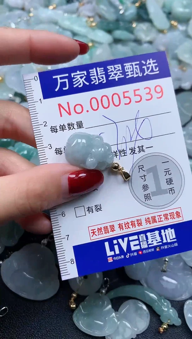 颈饰未镶嵌翡翠5539
